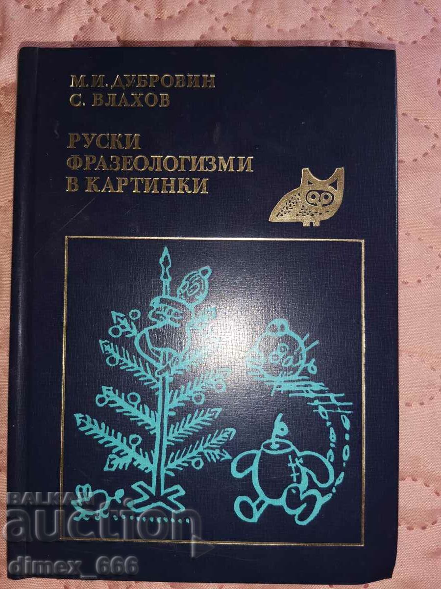 Russian phraseology in pictures MI Dubrovin, S. Vlakhov