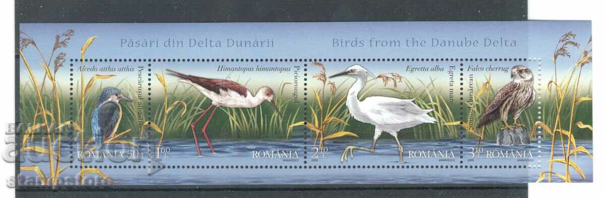 Romania - birds along the Danube river delta