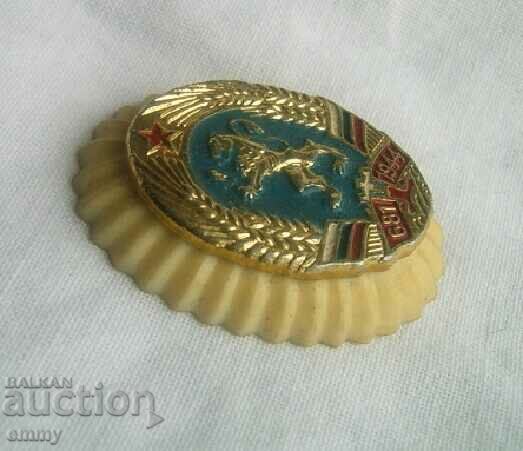 Military Cockade Cap Air Force Air Force with price 7.00 BGN | € 3.58