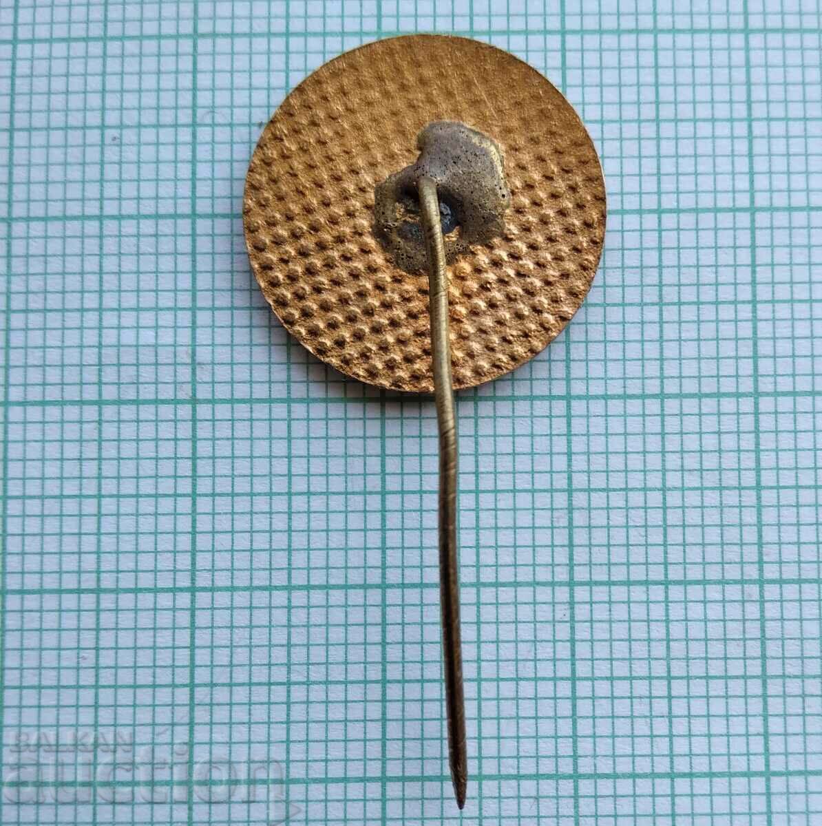 Delivery of 12556 Badge - Cruiser Nadezhda - bronze enamel Delivery of 12556 Badge - Cruiser Nadezhda - bronze enamel