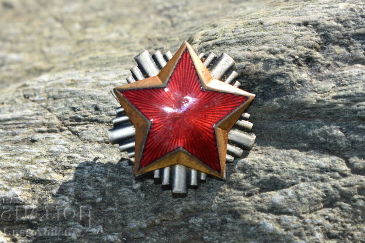 Κόκκα πέντε σημείων με τιμή 45.00 BGN | € 23.01 Κόκκα πέντε σημείων με τιμή 45.00 BGN | € 23.01