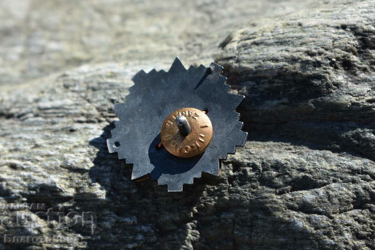 Δημοπρασία Κόκκα πέντε σημείων Δημοπρασία Κόκκα πέντε σημείων