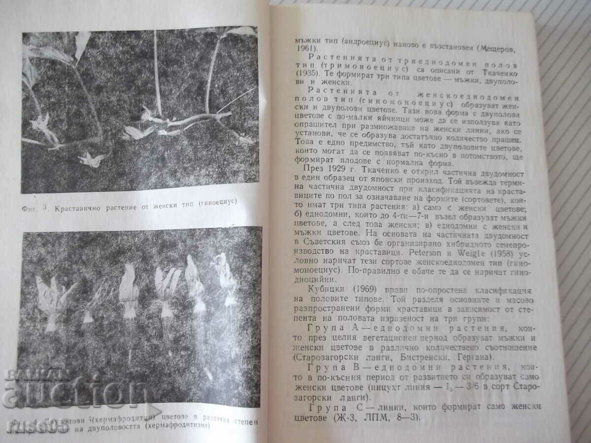 Auction Book "Cucumbers - Atanas Mihov" - 160 pages. Auction Book "Cucumbers - Atanas Mihov" - 160 pages.