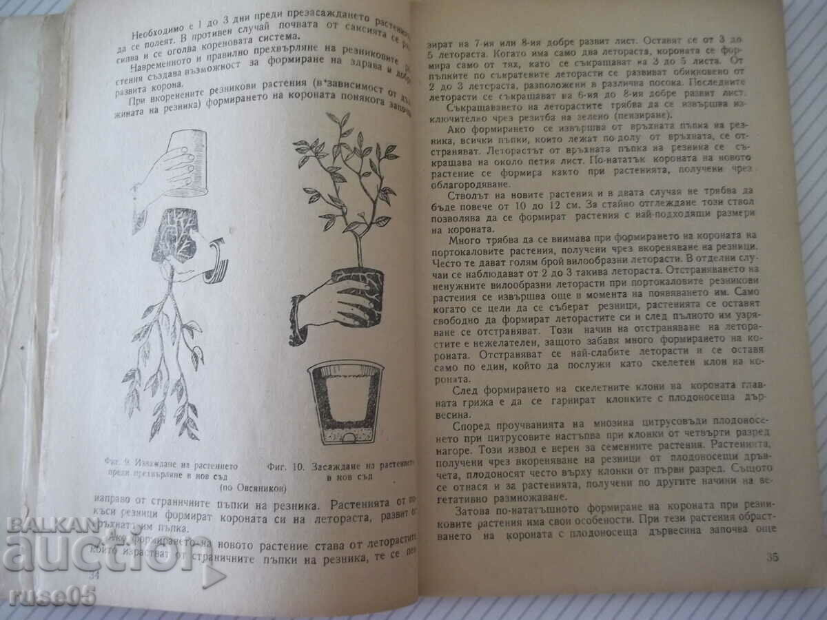 Auction  Book "Citrus plants in our country - S.Serafimov" - 144 pages.