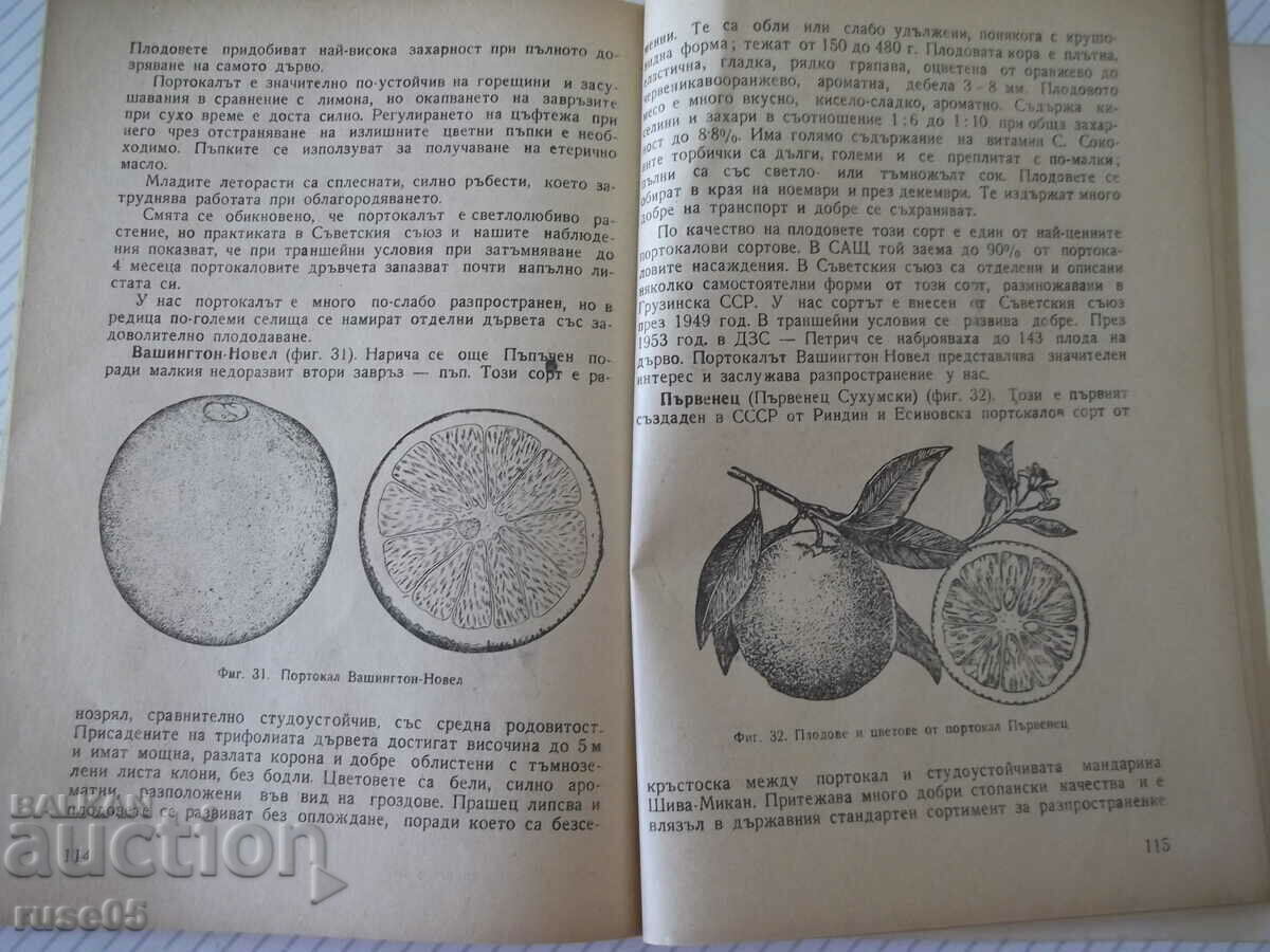 Delivery of Book "Citrus plants in our country - S.Serafimov" - 144 pages.