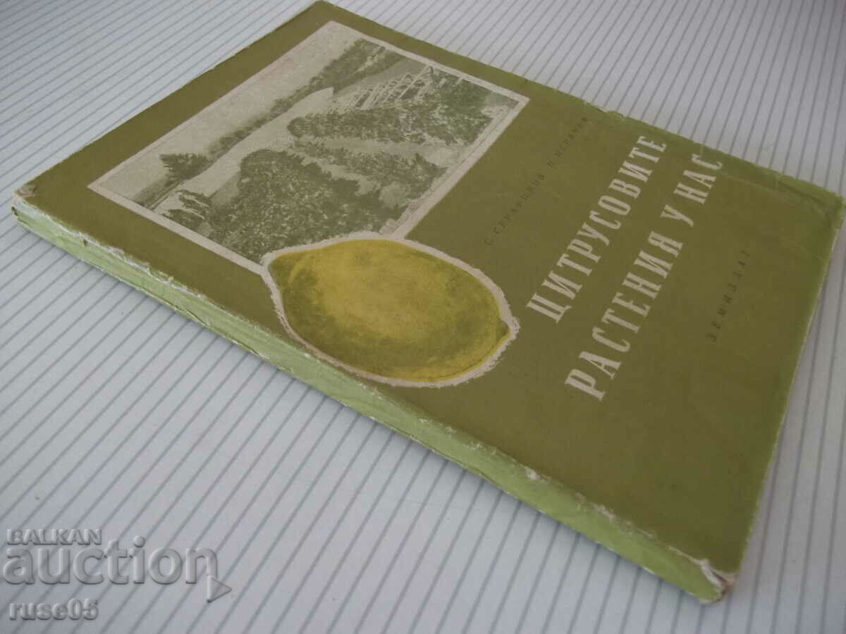 Book "Citrus plants in our country - S.Serafimov" - 144 pages. - 7