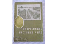 Cartea „Plante de citrice la noi – S.Serafimov” – 144 pagini.
