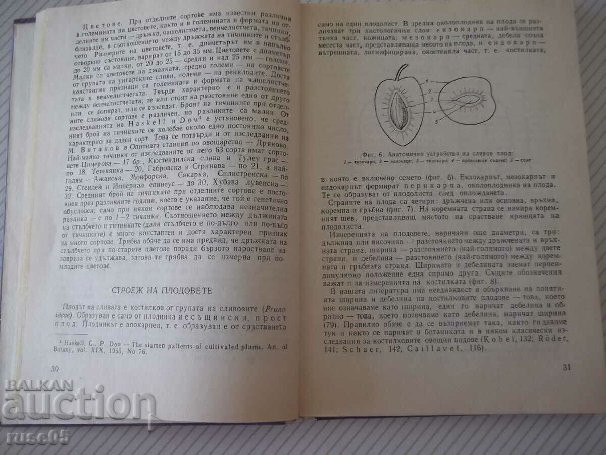 Book "Sliva-I.Iliev/M.Vitanov/M.Yoncheva/V.Belyakov"-208 pages. with price 20.00 BGN | € 10.23 Book "Sliva-I.Iliev/M.Vitanov/M.Yoncheva/V.Belyakov"-208 pages. with price 20.00 BGN | € 10.23