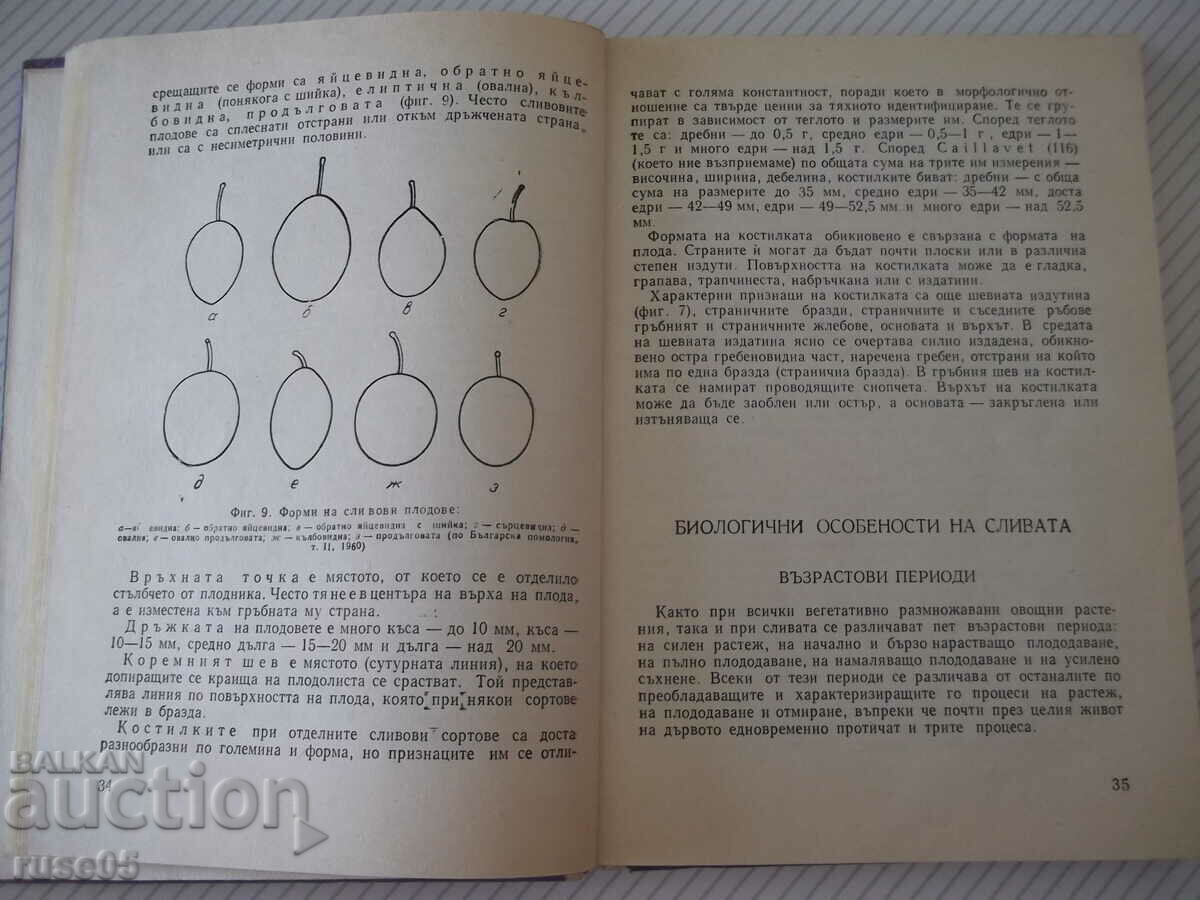 Auction Book "Sliva-I.Iliev/M.Vitanov/M.Yoncheva/V.Belyakov"-208 pages. Auction Book "Sliva-I.Iliev/M.Vitanov/M.Yoncheva/V.Belyakov"-208 pages.