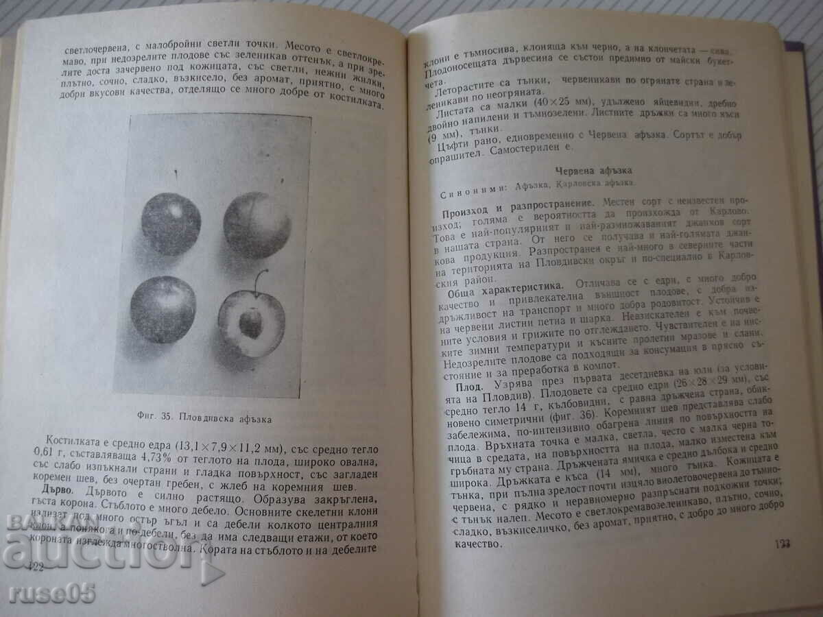 Delivery of Book "Sliva-I.Iliev/M.Vitanov/M.Yoncheva/V.Belyakov"-208 pages. Delivery of Book "Sliva-I.Iliev/M.Vitanov/M.Yoncheva/V.Belyakov"-208 pages.