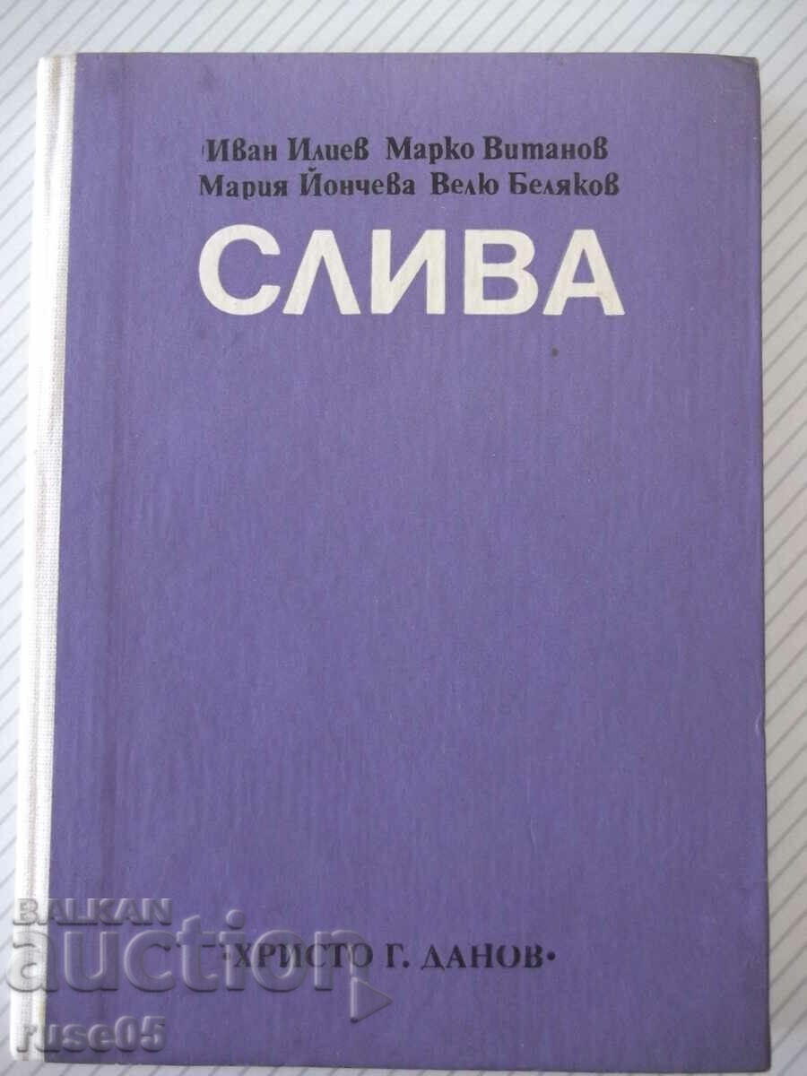Book "Sliva-I.Iliev/M.Vitanov/M.Yoncheva/V.Belyakov"-208 pages.