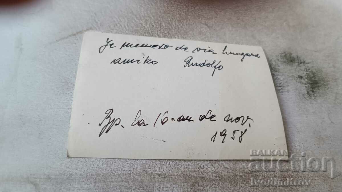 Photo Man and woman in the garden with price 0.65 BGN | € 0.33 Photo Man and woman in the garden with price 0.65 BGN | € 0.33