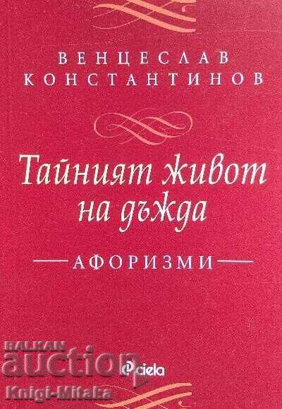 Η μυστική ζωή της βροχής - Βέντσεσλαβ Κονσταντίνοφ