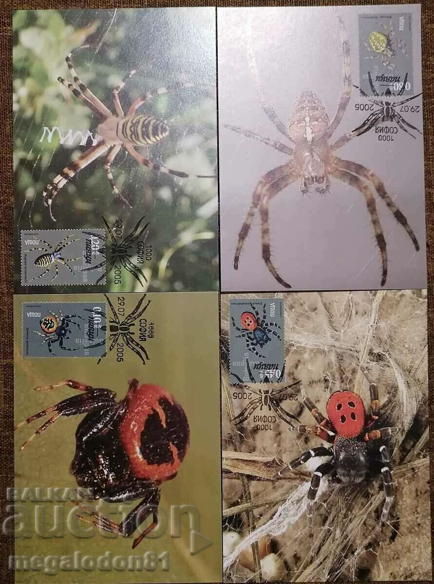България - фауна, паяци