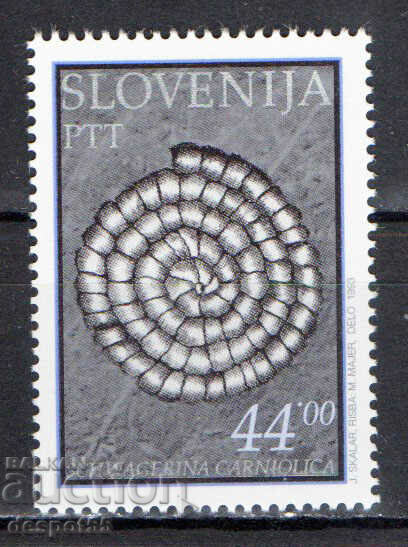 1993. Slovenia. Fosile din Cheile Dolzanului.