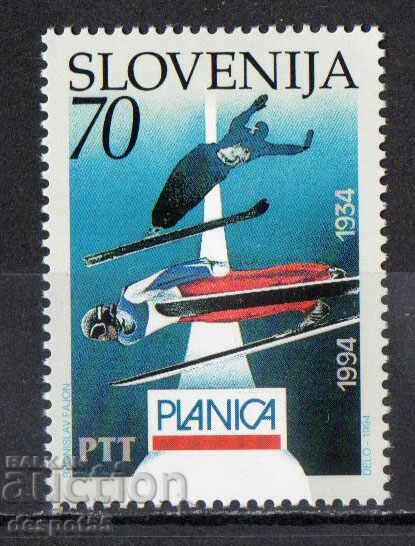 1994. Slovenia. Al 2-lea zbor mondial de schi - Planitsa '94.