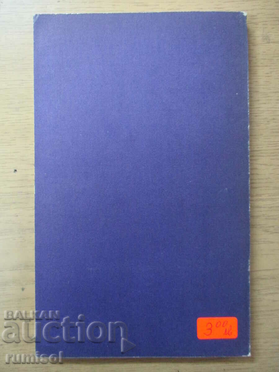 Licitație O noapte de Boris - Anani Stoynev Licitație O noapte de Boris - Anani Stoynev