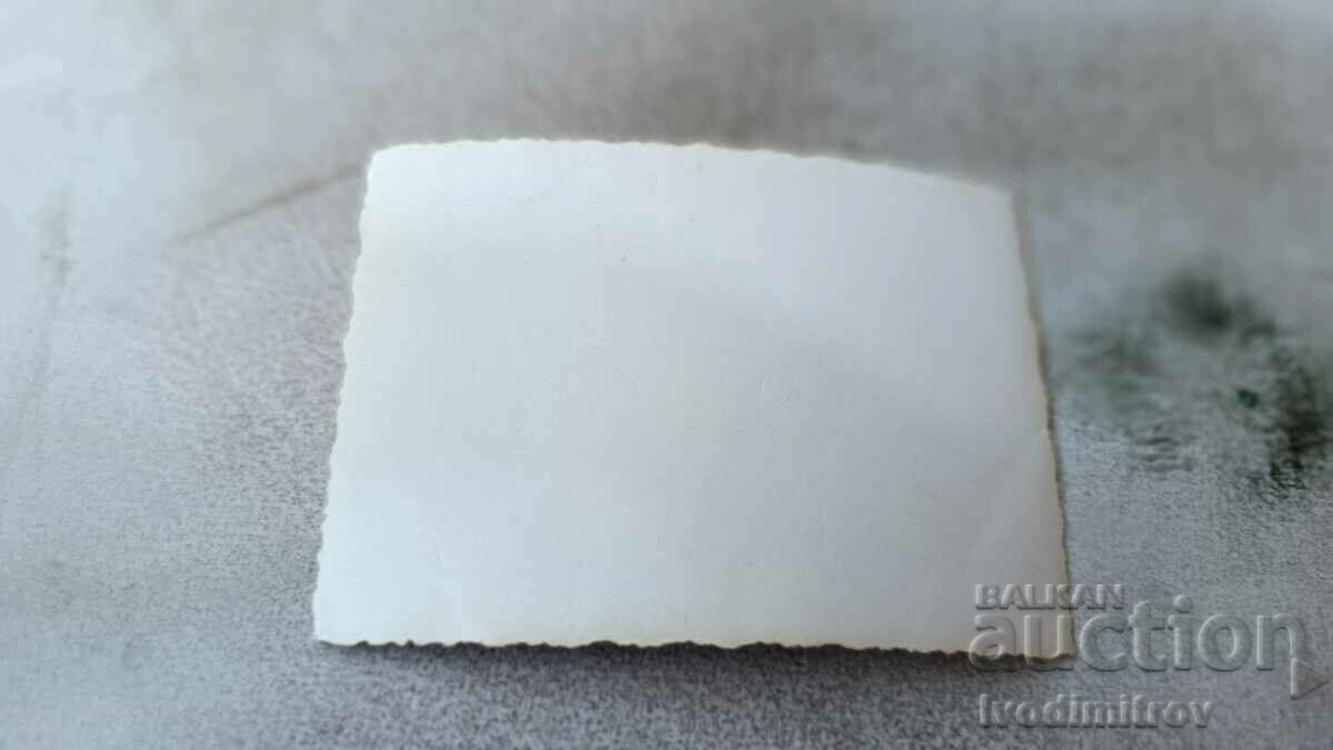 Photo Three men in swimsuits on the beach with price 2.65 BGN | € 1.35 Photo Three men in swimsuits on the beach with price 2.65 BGN | € 1.35