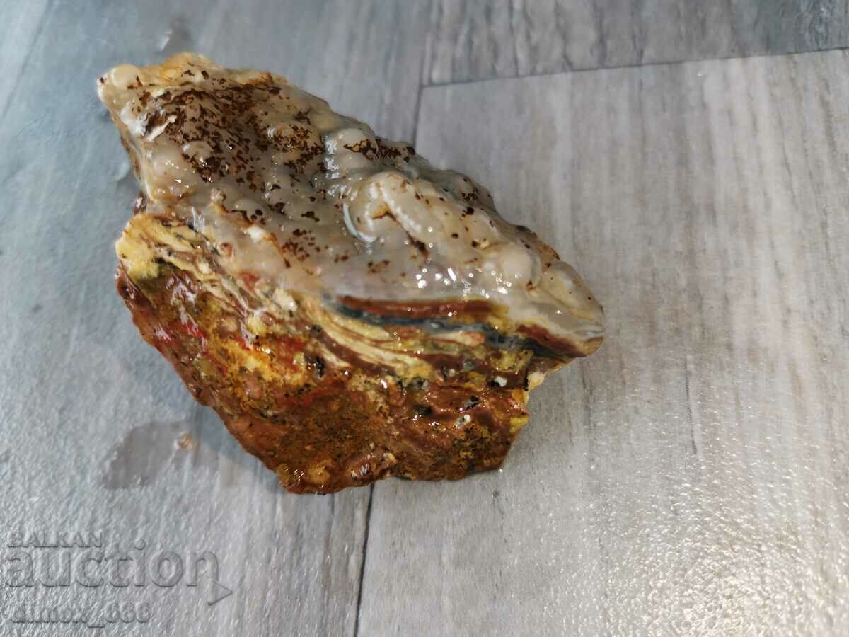 Un firicel din Rodopii de Est cu preț 5.00 BGN | € 2.56 Un firicel din Rodopii de Est cu preț 5.00 BGN | € 2.56