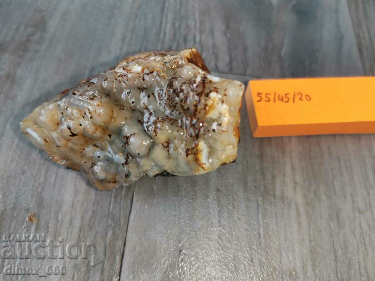 Licitație Un firicel din Rodopii de Est Licitație Un firicel din Rodopii de Est