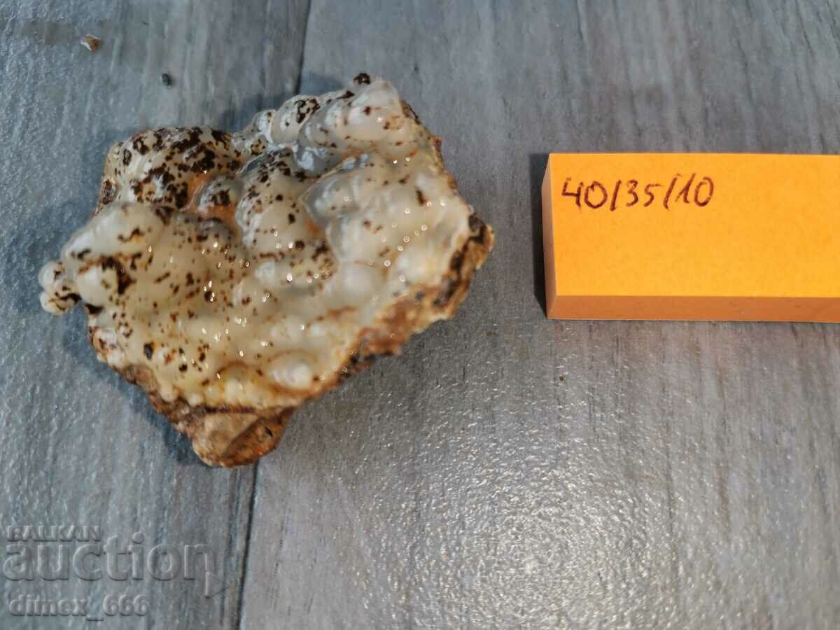 A trickle from the Eastern Rhodopes with price 4.00 BGN | € 2.05 A trickle from the Eastern Rhodopes with price 4.00 BGN | € 2.05