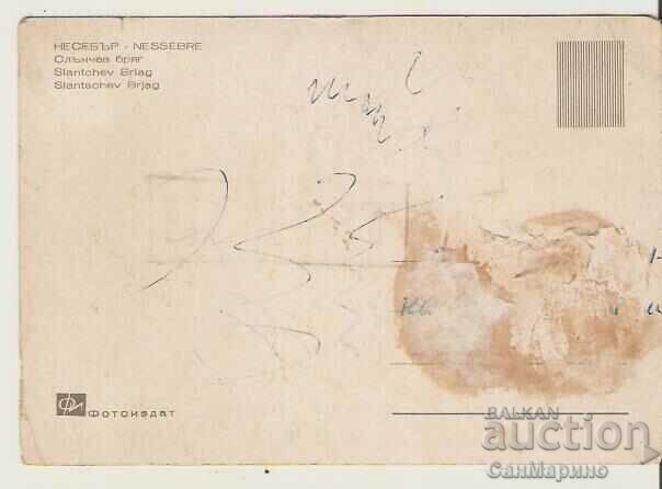 Card Bulgaria Sunny Beach Maiden on a Donkey** with price 0.80 BGN | € 0.41 Card Bulgaria Sunny Beach Maiden on a Donkey** with price 0.80 BGN | € 0.41