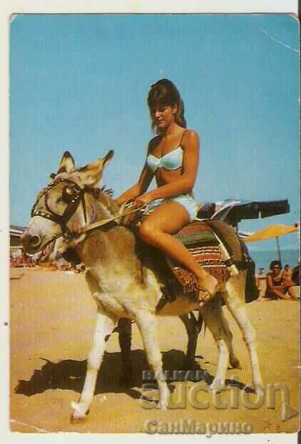 Card Bulgaria Sunny Beach Maiden pe un măgar**
