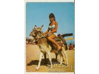 Card Bulgaria Sunny Beach Maiden on a Donkey**