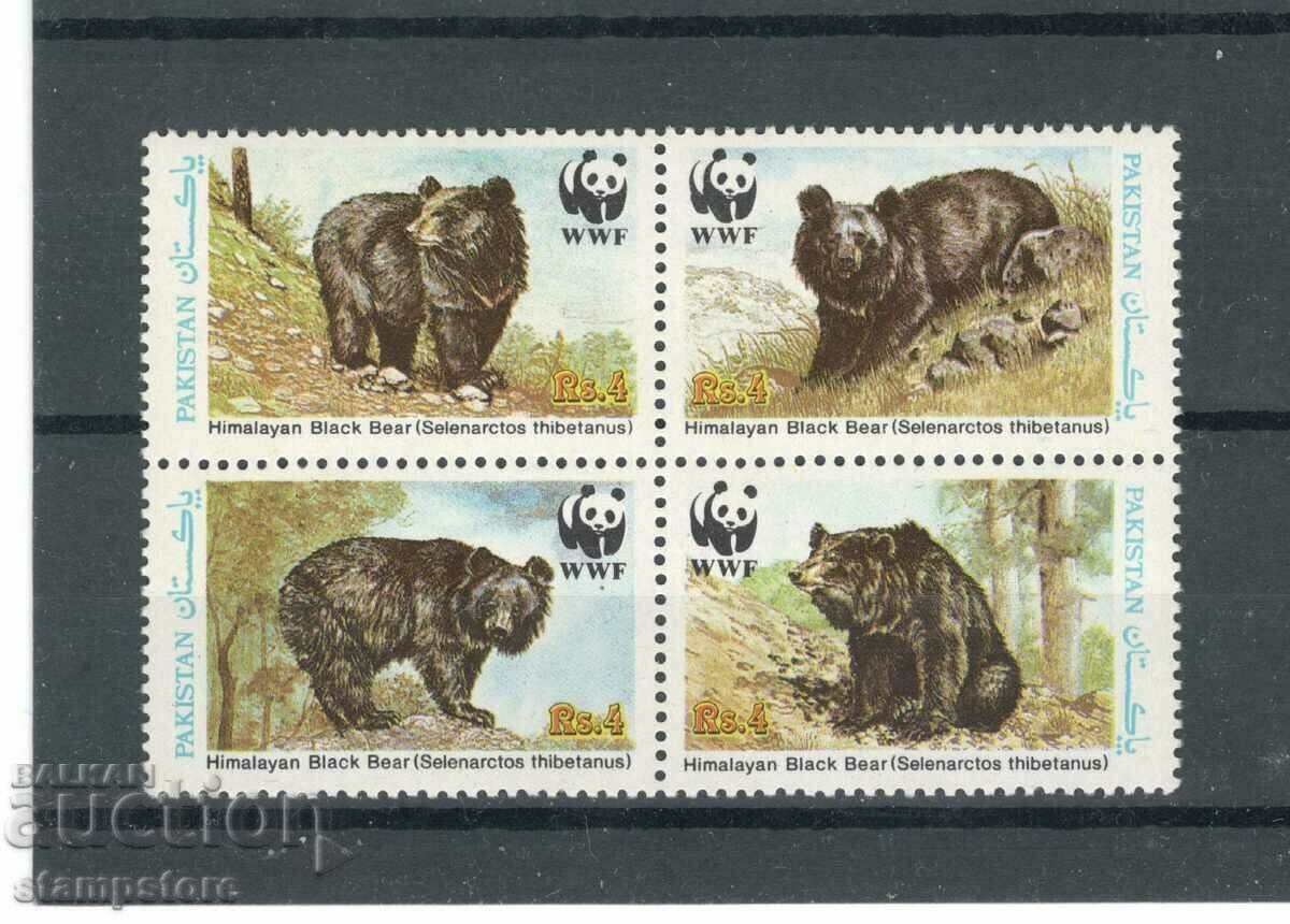 Αρκούδες - Πακιστάν