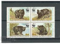 Bears - Pakistan