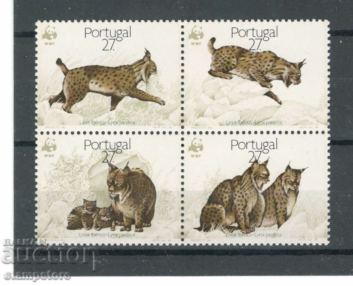 Predatory cats - Portugal