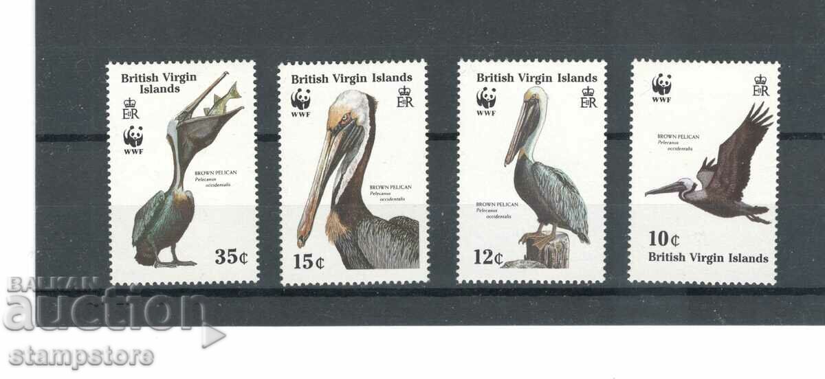 Βρετανικές Παρθένοι Νήσοι - Πουλιά