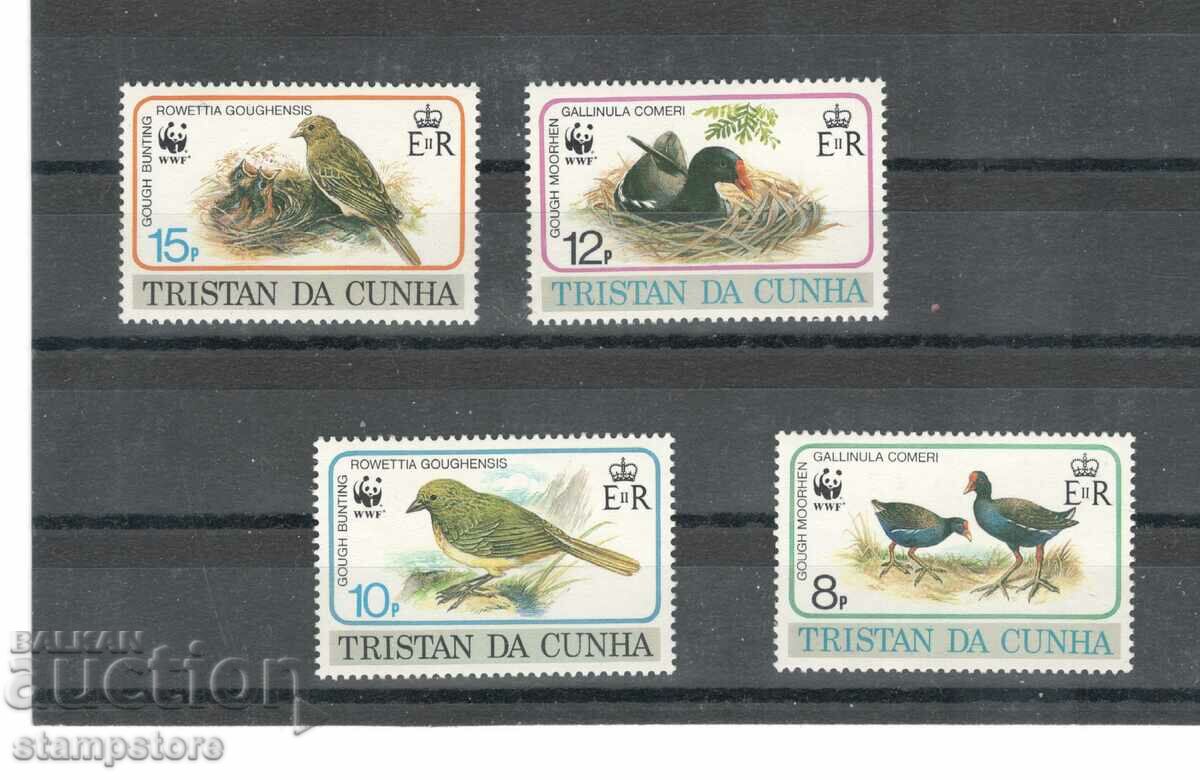 Tristan da Cuna - Πουλιά