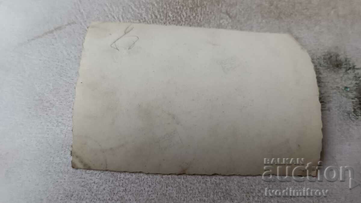 Photo Pupils sitting on a train on the grass with their teacher with price 0.75 BGN | € 0.38