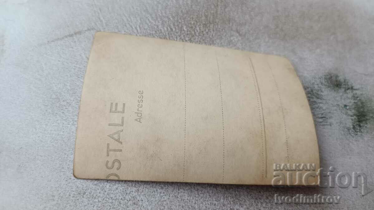 Εικόνα Πέντε νεαρά κορίτσια στο χιόνι στο πάρκο με τιμή 0.85 BGN | € 0.43 Εικόνα Πέντε νεαρά κορίτσια στο χιόνι στο πάρκο με τιμή 0.85 BGN | € 0.43