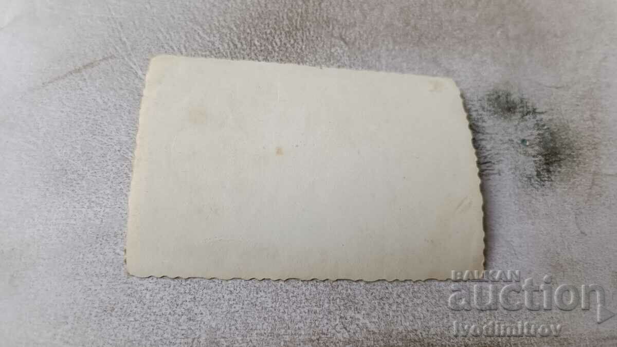 Photo Young men and women on a meadow with price 0.75 BGN | € 0.38 Photo Young men and women on a meadow with price 0.75 BGN | € 0.38