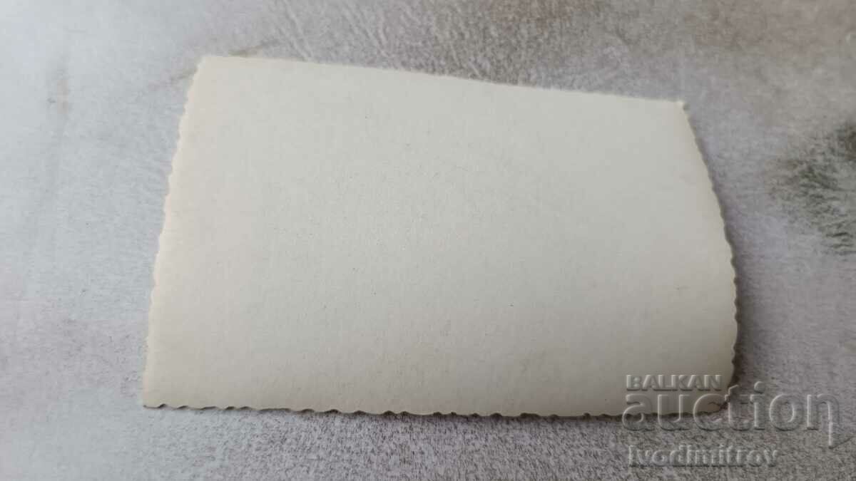 Photo Young men and women on a picnic with price 0.85 BGN | € 0.43 Photo Young men and women on a picnic with price 0.85 BGN | € 0.43