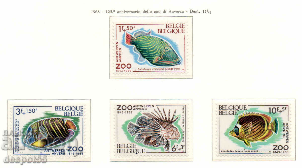 1968. Belgia. Pește - 125 de ani de grădina zoologică din Anvers.