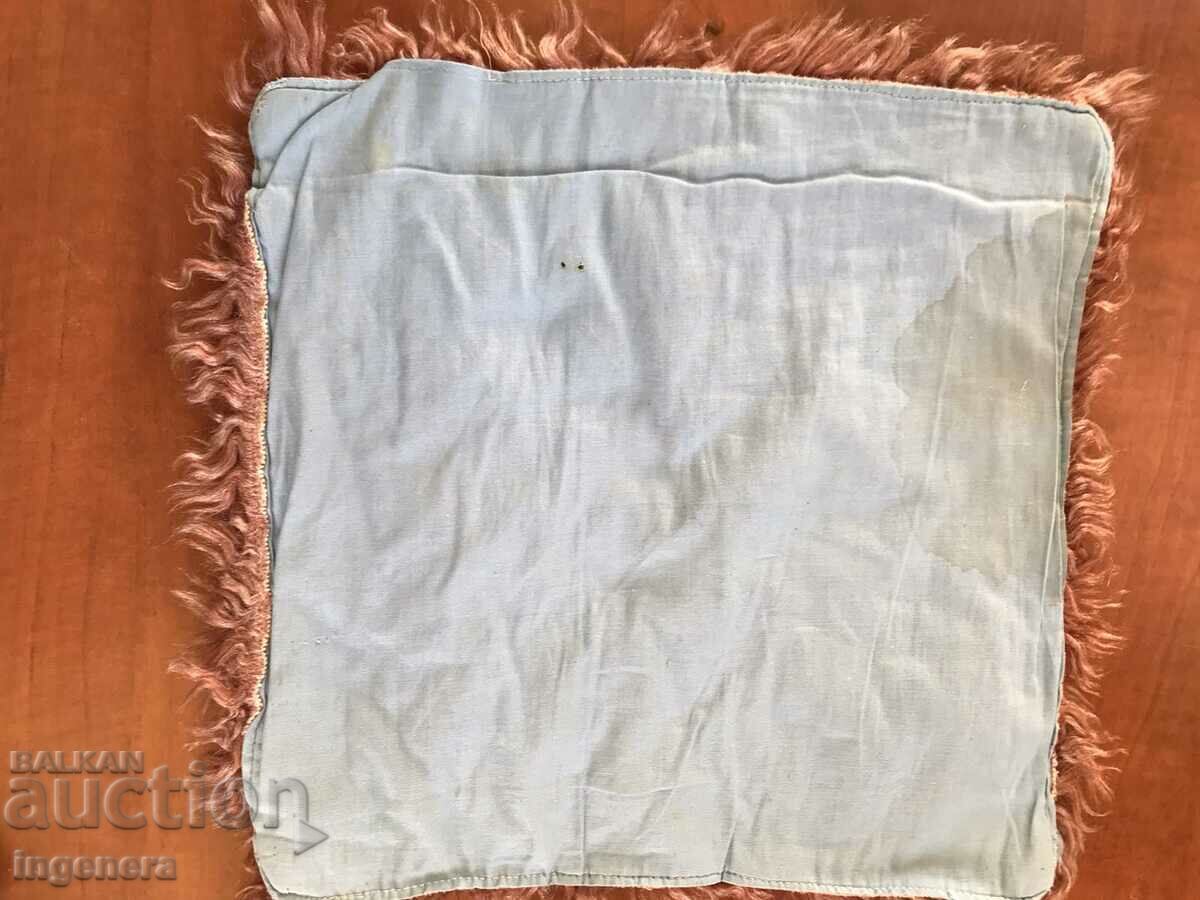 Delivery of DINING ROOM SEAT PAD CHAIR