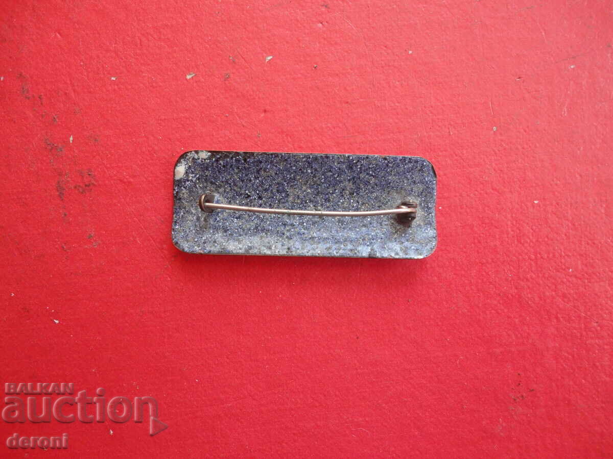 Delivery of A great enamel brooch Delivery of A great enamel brooch