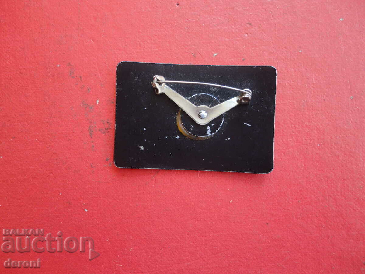 Delivery of A great bird brooch Delivery of A great bird brooch