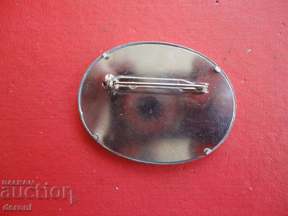 Delivery of Painted brooch on silk 2 Delivery of Painted brooch on silk 2