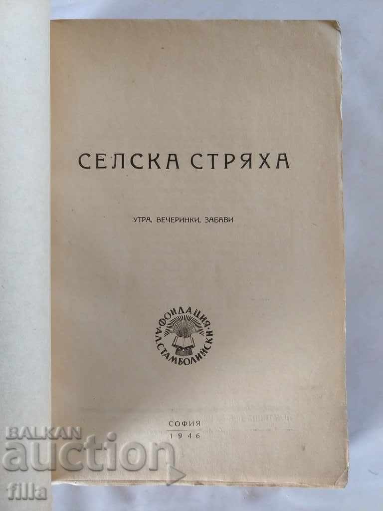 Auction  VILLAGE STREAM. Mornings Parties Parties (Uncut)