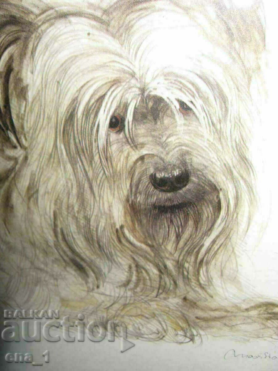 Original author's portrait of your Yorkie in a frame with price 59.99 BGN | € 30.67