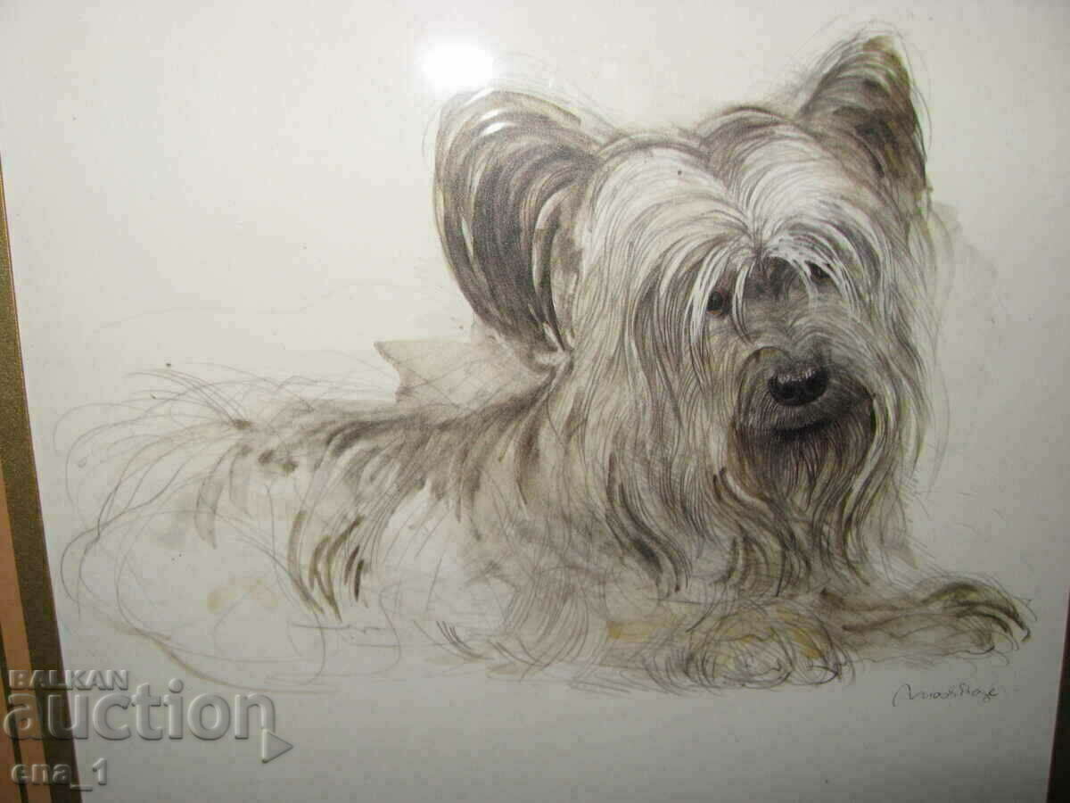 Delivery of Original author's portrait of your Yorkie in a frame