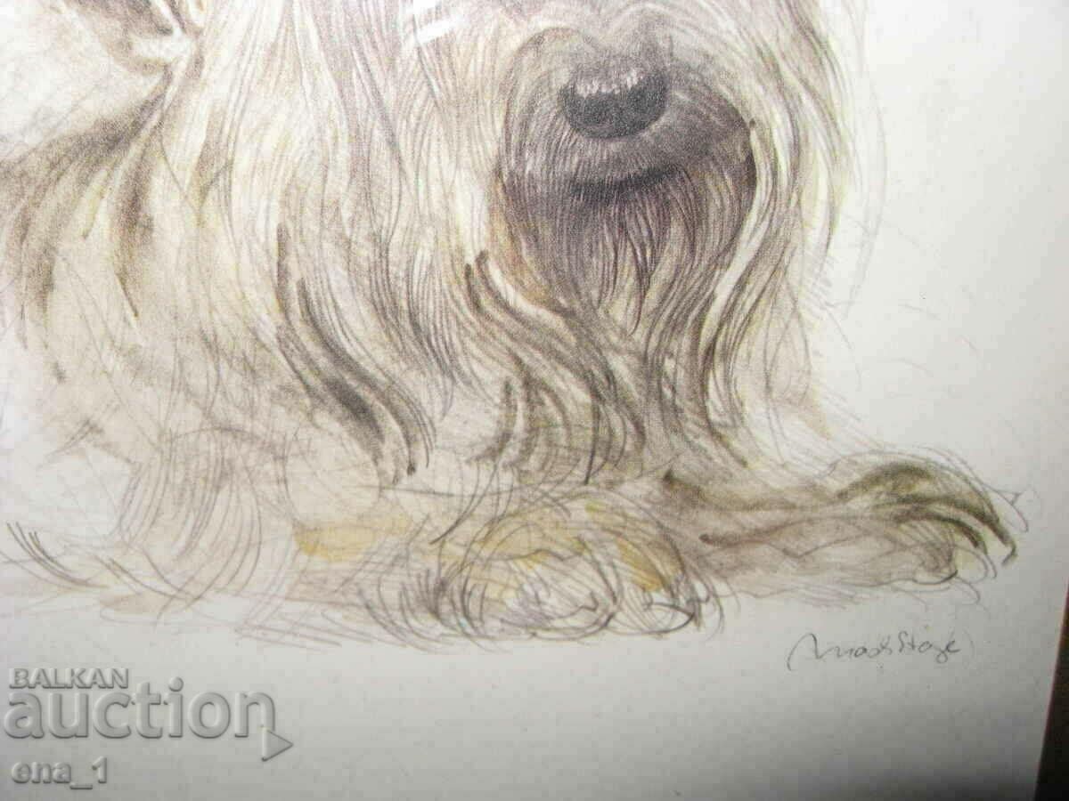 Original author's portrait of your Yorkie in a frame - 5