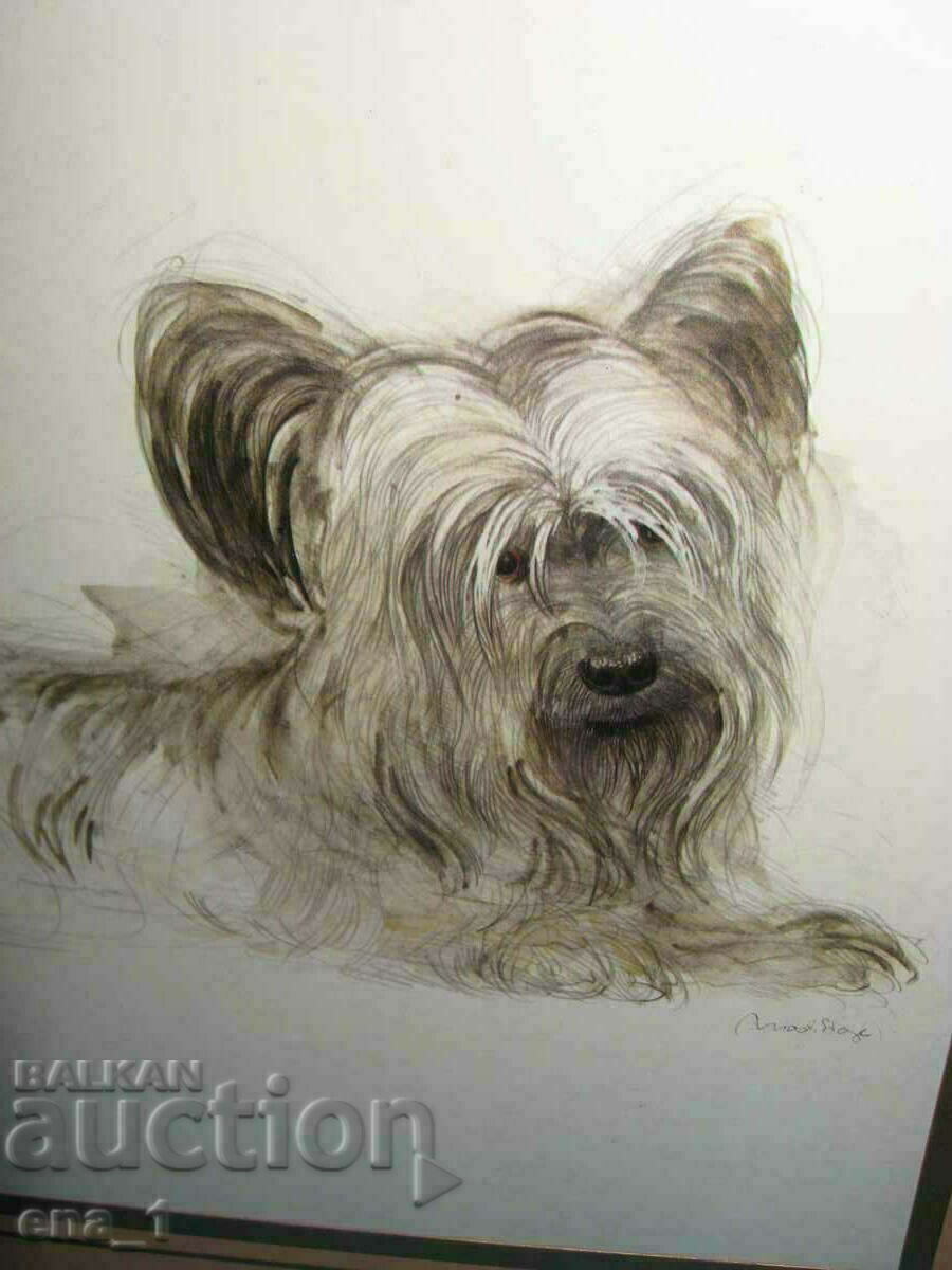 Original author's portrait of your Yorkie in a frame - 6