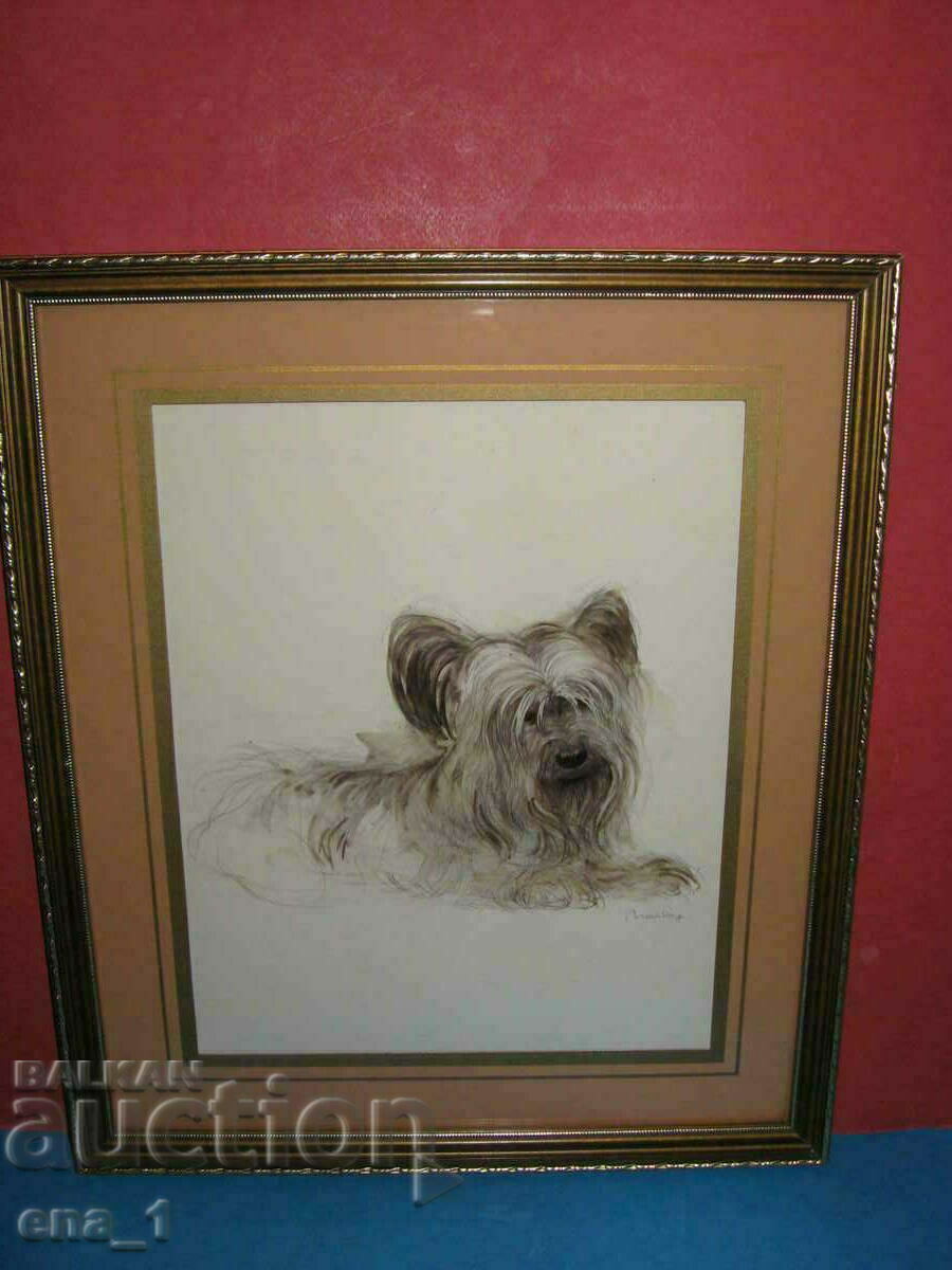 Original author's portrait of your Yorkie in a frame