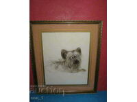 Original author's portrait of your Yorkie in a frame