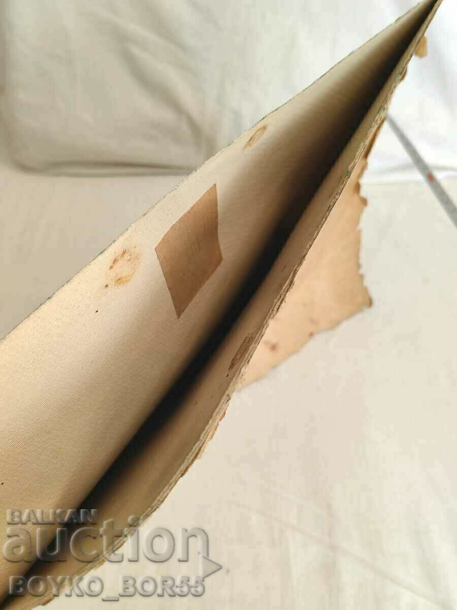 A UNIQUE MILITARY PICTURE OF A ROYAL LIFE-GUARD CAVALDER - 6